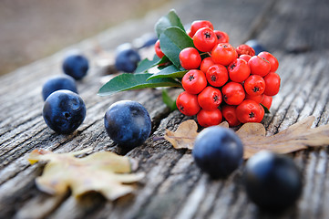 Image showing Romantic autumn still life