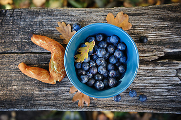 Image showing Still life with blackthorn and bagel