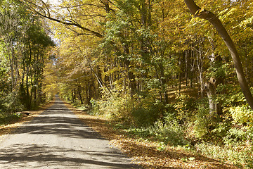 Image showing Autumn Foliage in Vermont