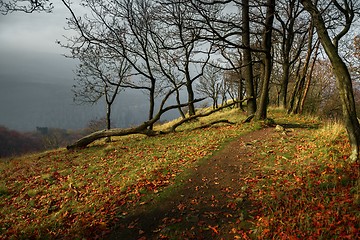 Image showing Path at the Mountain edge 