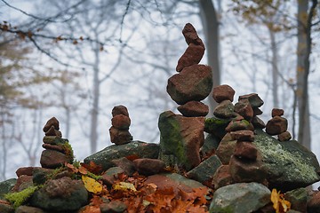 Image showing Autumn day in the enchanted forest 