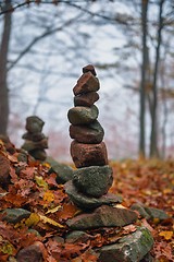 Image showing Autumn day in the enchanted forest 