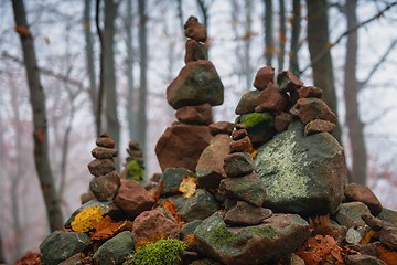 Image showing Autumn day in the enchanted forest 