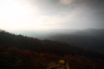 Image showing Aerial view of autumn forest