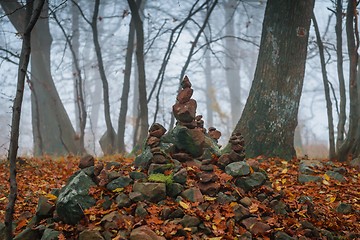 Image showing Autumn day in the enchanted forest 