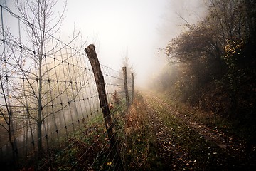 Image showing Pathway through the autumn forest