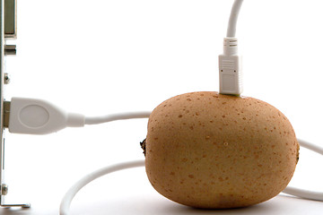 Image showing The kiwifruit connected through usb cable