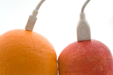 Image showing The orange and apple are connected through a cable 3