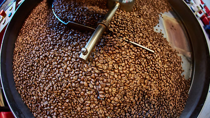 Image showing Freshly roasted coffee beans