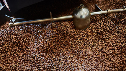 Image showing Freshly roasted coffee beans