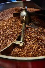 Image showing Freshly roasted coffee beans