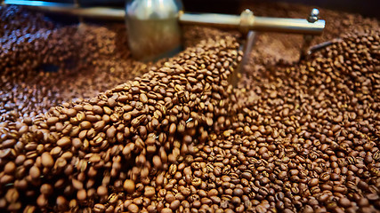 Image showing Freshly roasted coffee beans