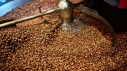 Image showing Freshly roasted coffee beans