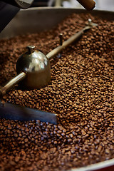 Image showing Freshly roasted coffee beans