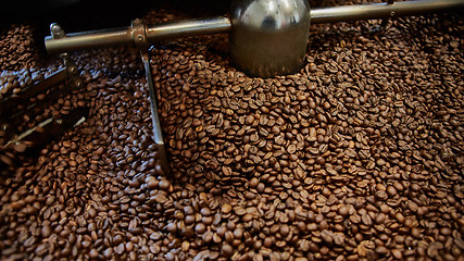 Image showing Freshly roasted coffee beans