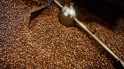 Image showing Freshly roasted coffee beans