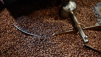 Image showing Freshly roasted coffee beans