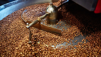 Image showing Freshly roasted coffee beans