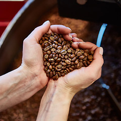 Image showing close-up view of roasted coffee beans in hand