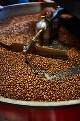 Image showing Freshly roasted coffee beans