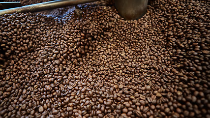 Image showing Freshly roasted coffee beans