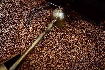 Image showing Freshly roasted coffee beans