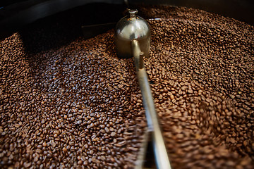 Image showing Freshly roasted coffee beans