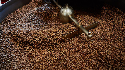 Image showing Freshly roasted coffee beans