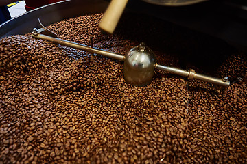 Image showing Freshly roasted coffee beans