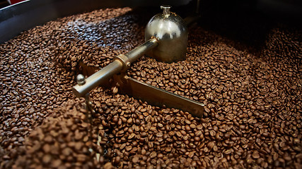 Image showing Freshly roasted coffee beans