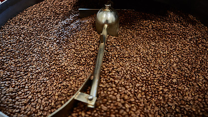 Image showing Freshly roasted coffee beans