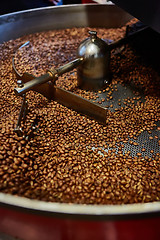 Image showing Freshly roasted coffee beans