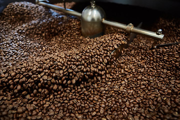 Image showing Freshly roasted coffee beans