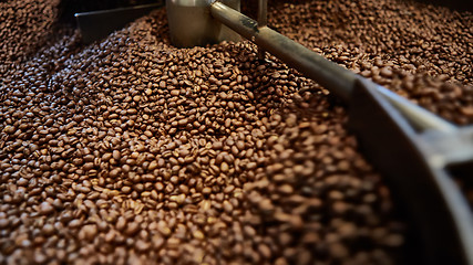 Image showing Freshly roasted coffee beans