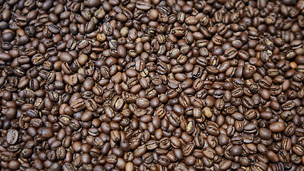 Image showing Freshly roasted coffee beans