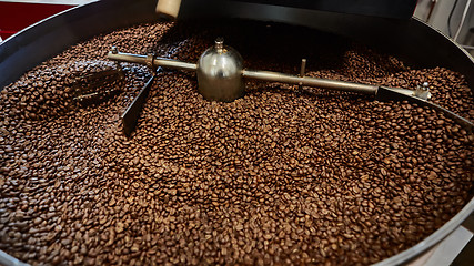 Image showing Freshly roasted coffee beans