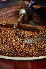 Image showing Freshly roasted coffee beans