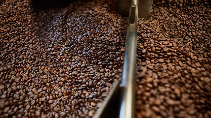 Image showing Freshly roasted coffee beans