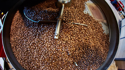 Image showing Freshly roasted coffee beans