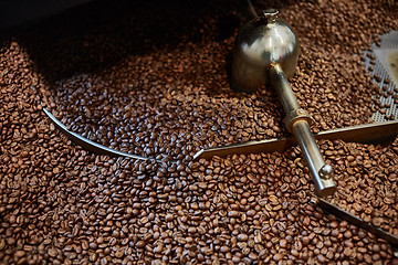 Image showing Freshly roasted coffee beans