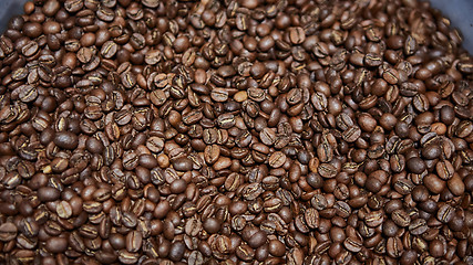 Image showing Freshly roasted coffee beans