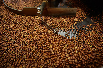 Image showing Freshly roasted coffee beans