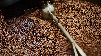 Image showing Freshly roasted coffee beans