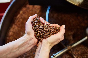 Image showing close-up view of roasted coffee beans in hand