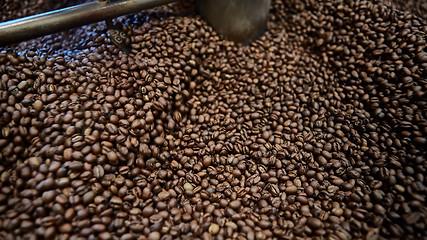 Image showing Freshly roasted coffee beans