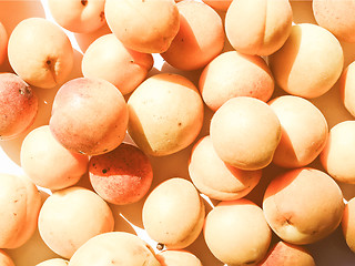 Image showing Retro looking Apricots