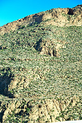 Image showing brown bush  in    morocco      atlas dry mountain  