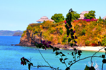 Image showing andilana beach seaweed in indian ocean madagascar mountain   