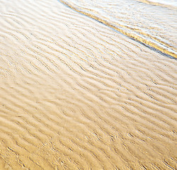 Image showing dune morocco in africa brown coastline wet sand beach near atlan