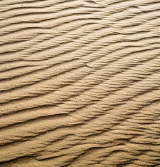 Image showing the brown sand dune in the sahara morocco desert 